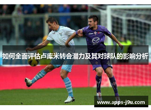 如何全面评估卢库米转会潜力及其对球队的影响分析