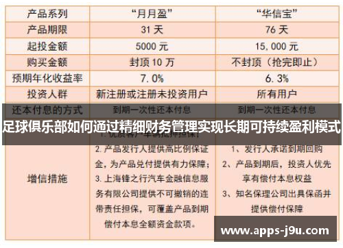足球俱乐部如何通过精细财务管理实现长期可持续盈利模式
