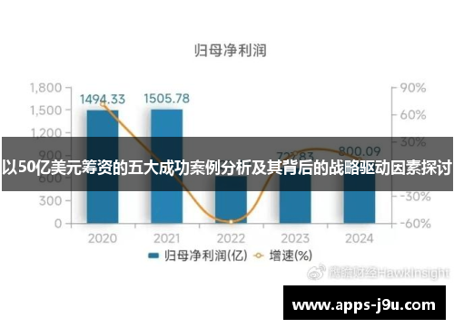以50亿美元筹资的五大成功案例分析及其背后的战略驱动因素探讨