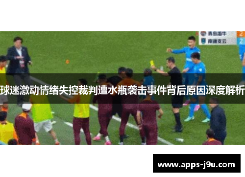 球迷激动情绪失控裁判遭水瓶袭击事件背后原因深度解析