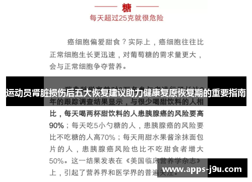 运动员肾脏损伤后五大恢复建议助力健康复原恢复期的重要指南