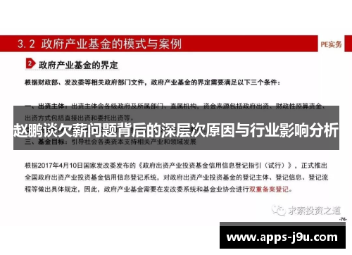 赵鹏谈欠薪问题背后的深层次原因与行业影响分析
