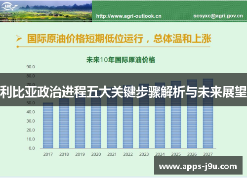利比亚政治进程五大关键步骤解析与未来展望
